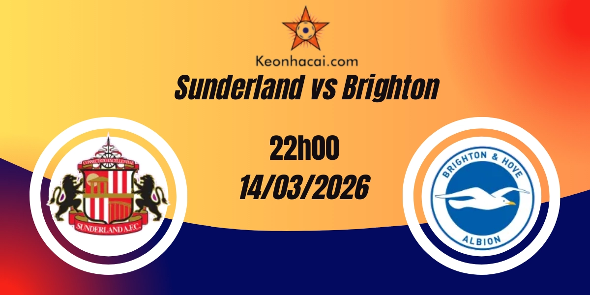 Nhận Định Sunderland vs Brighton Premier League 14/03/2026